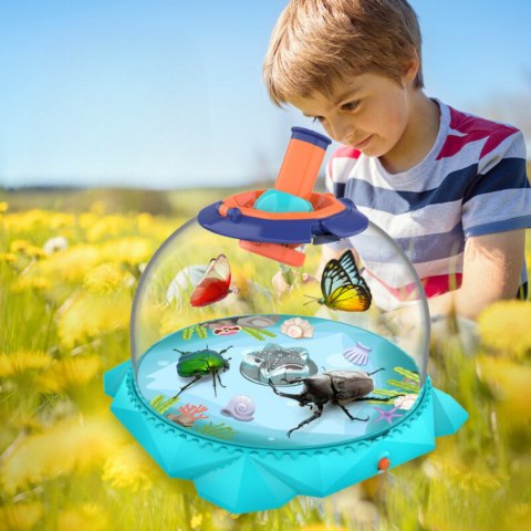 STEM INSECT VIEWER