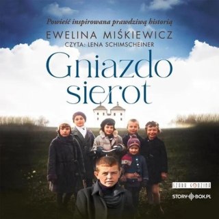 Gniazdo sierot audiobook