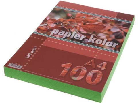 Papier ksero kolorowy A4 100k. 160g KRESKA zielony