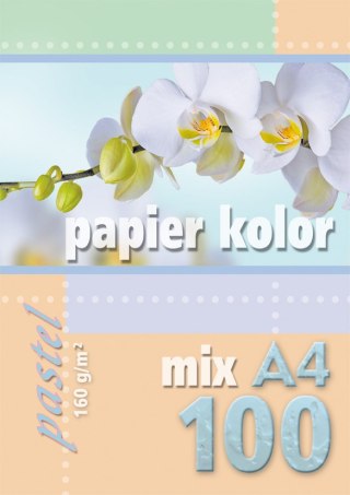 Papier ksero kolorowy A4 100k. KRESKA mix pastel 160g