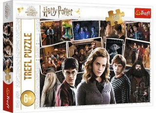 Puzzle 160 TREFL Harry Potter i przyjaciele