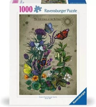 Puzzle 1000 Cykl życia motyla