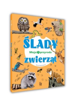 Moja przyroda. Ślady zwierząt