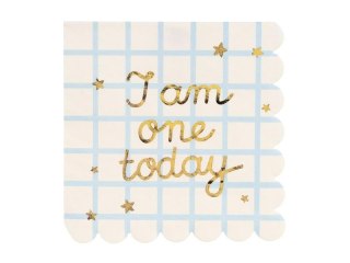 Serwetki papierowe I am one today 33x33cm