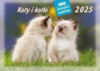 Kalendarz 2025 Rodzinny Koty i kotki