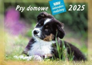 Kalendarz 2025 Rodzinny Psy domowe