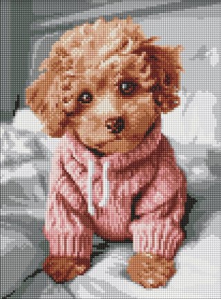 Diamentowa mozaika - Magiczny Maltipoo 30x40cm