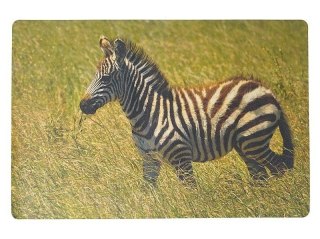 Podkładka na biurko piankowa zebra 60x40cm