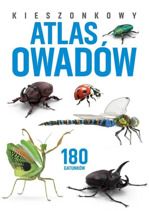 Kieszonkowy atlas owadów