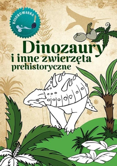 Kolorowanka. Dinozaury