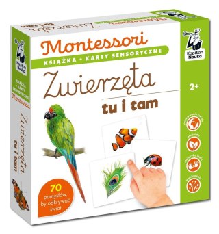 Montessori. Zwierzęta tu i tam. Karty sensoryczne