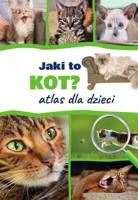 Jaki to kot? Atlas dla dzieci