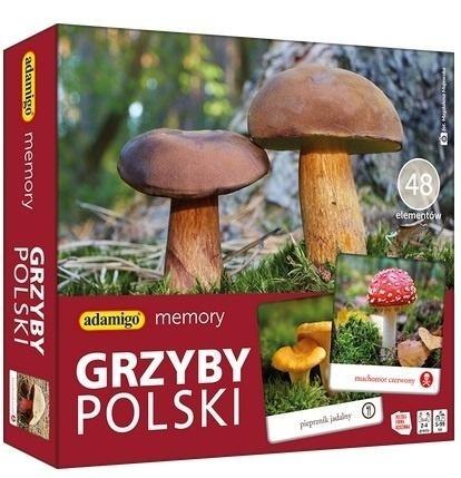 Memory Grzyby Polski