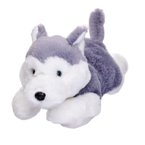 Husky leżący 35cm