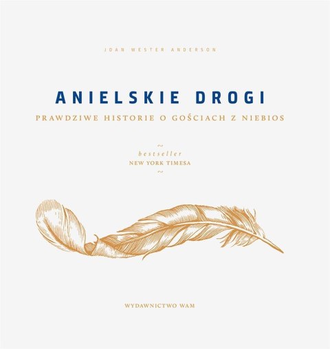 Anielskie drogi. Prawdziwe historie o gościach...