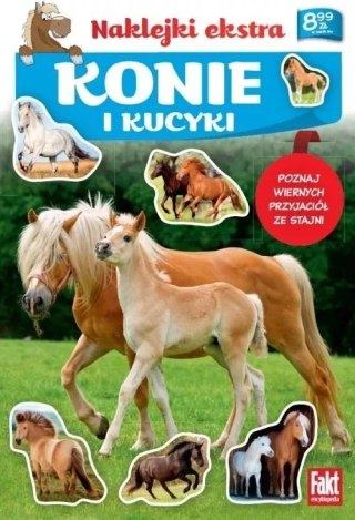 Konie i kucyki