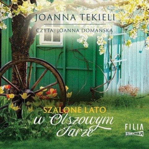 Szalone lato w Olszowym Jarze audiobook