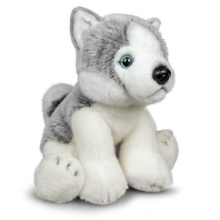 Pluszowy Husky