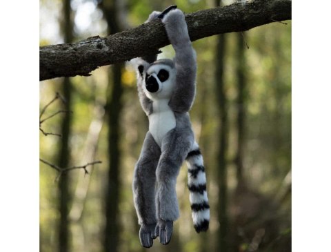 Pluszowy lemur na rzepy