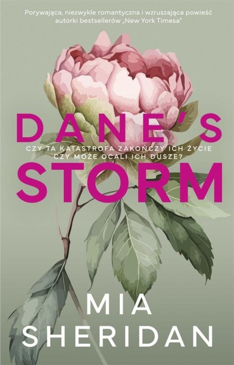 Dane's Storm