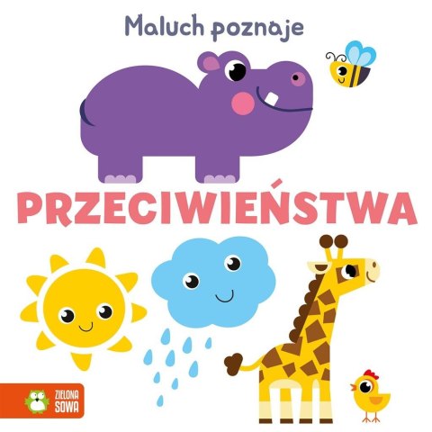 Maluch poznaje. Przeciwieństwa