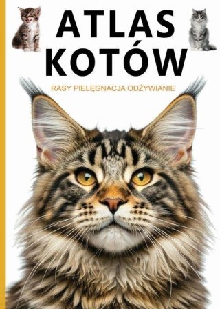 Atlas kotów