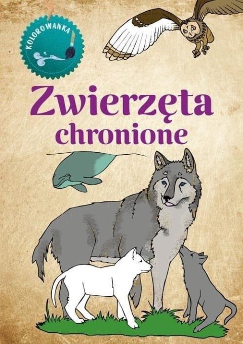 Kolorowanka Zwierzęta Chronione