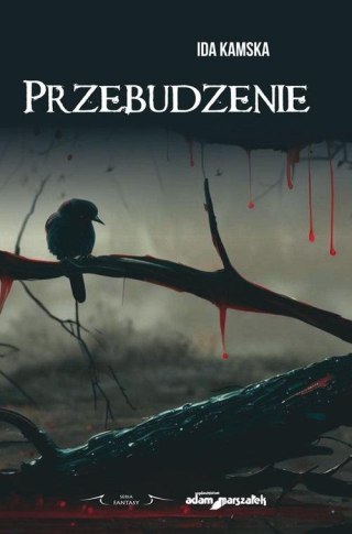 Przebudzenie