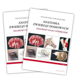 Anatomia zwierząt domowych. Kolorowy atlas... w.4