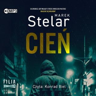 Cień audiobook