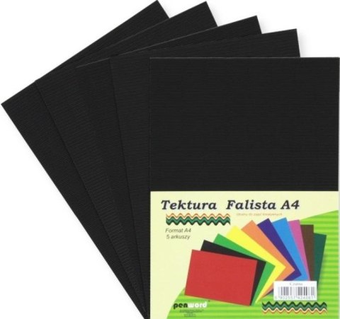 Tektura A4 falista czarna 5szt