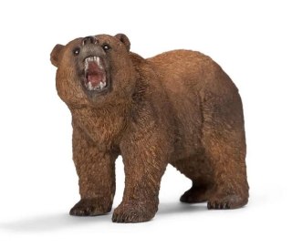 Niedźwiedź grizzly