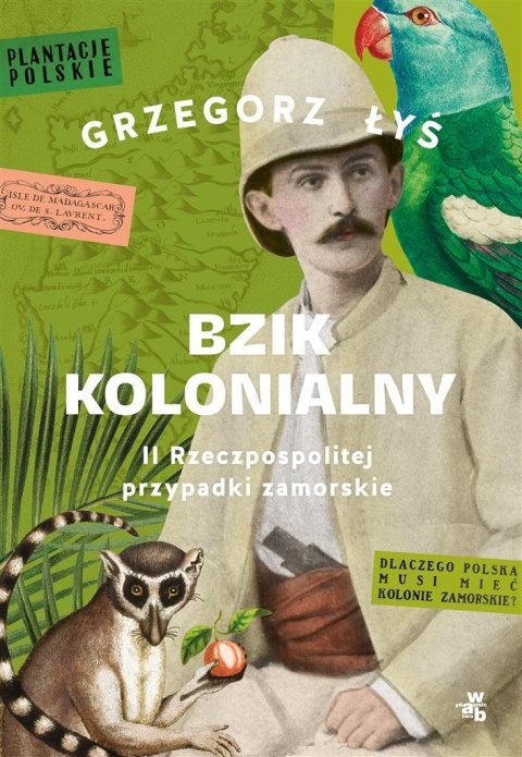 Bzik kolonialny. II Rzeczpospolitej przypadki..