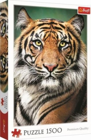 Puzzle 1500 Portret tygrysa TREFL