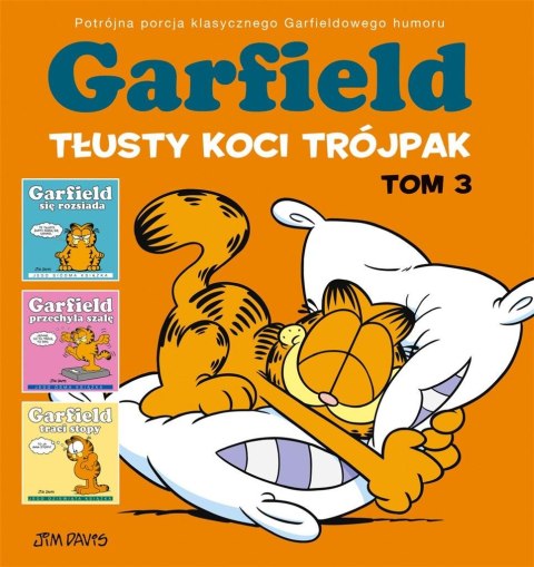 Garfield T.3 Tłusty koci trójpak