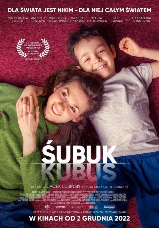 Śubuk DVD