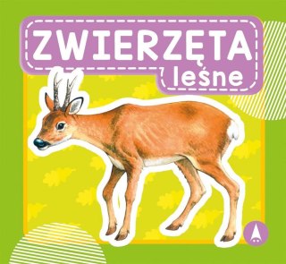 Zwierzęta leśne