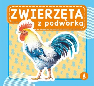 Zwierzęta z podwórka