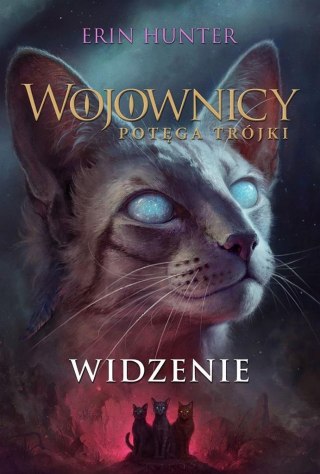 Wojownicy T.13 Widzenie