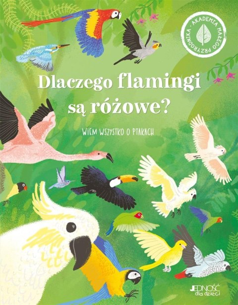 Dlaczego flamingi są różowe? Wiem wszystko o..