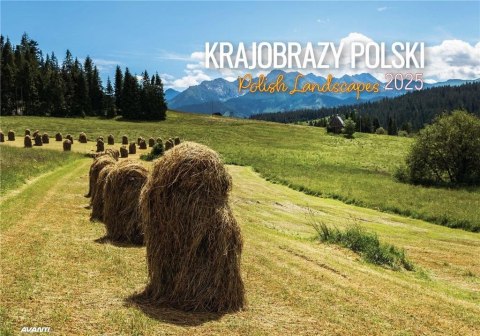 Kalendarz 2025 ścienny albumowy Krajobrazy Polski