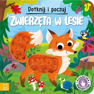 Dotknij i poczuj. Zwierzęta w lesie