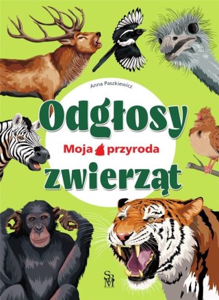 Moja przyroda. Odgłosy zwierząt