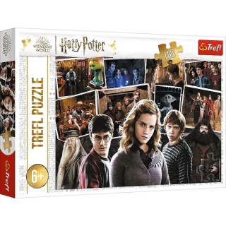 Puzzle 160 Harry Potter i przyjaciele TREFL