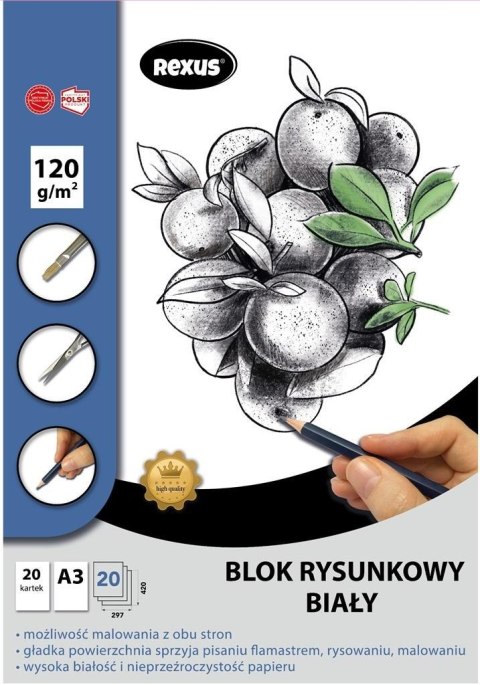 Blok rysunkowy A3/20K biały Premium