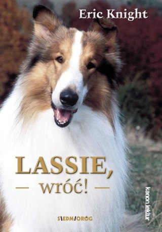 Lassie, wróć!