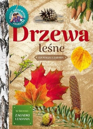 Młody obserwator przyrody. Drzewa leśne w.2022