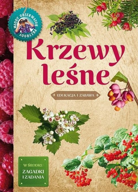 Młody obserwator przyrody.Krzewy leśne