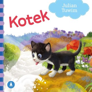 Kotek