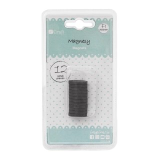 Magnesy 20x3mm 12szt